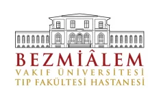 bezmialem tas duvar uygulamasi